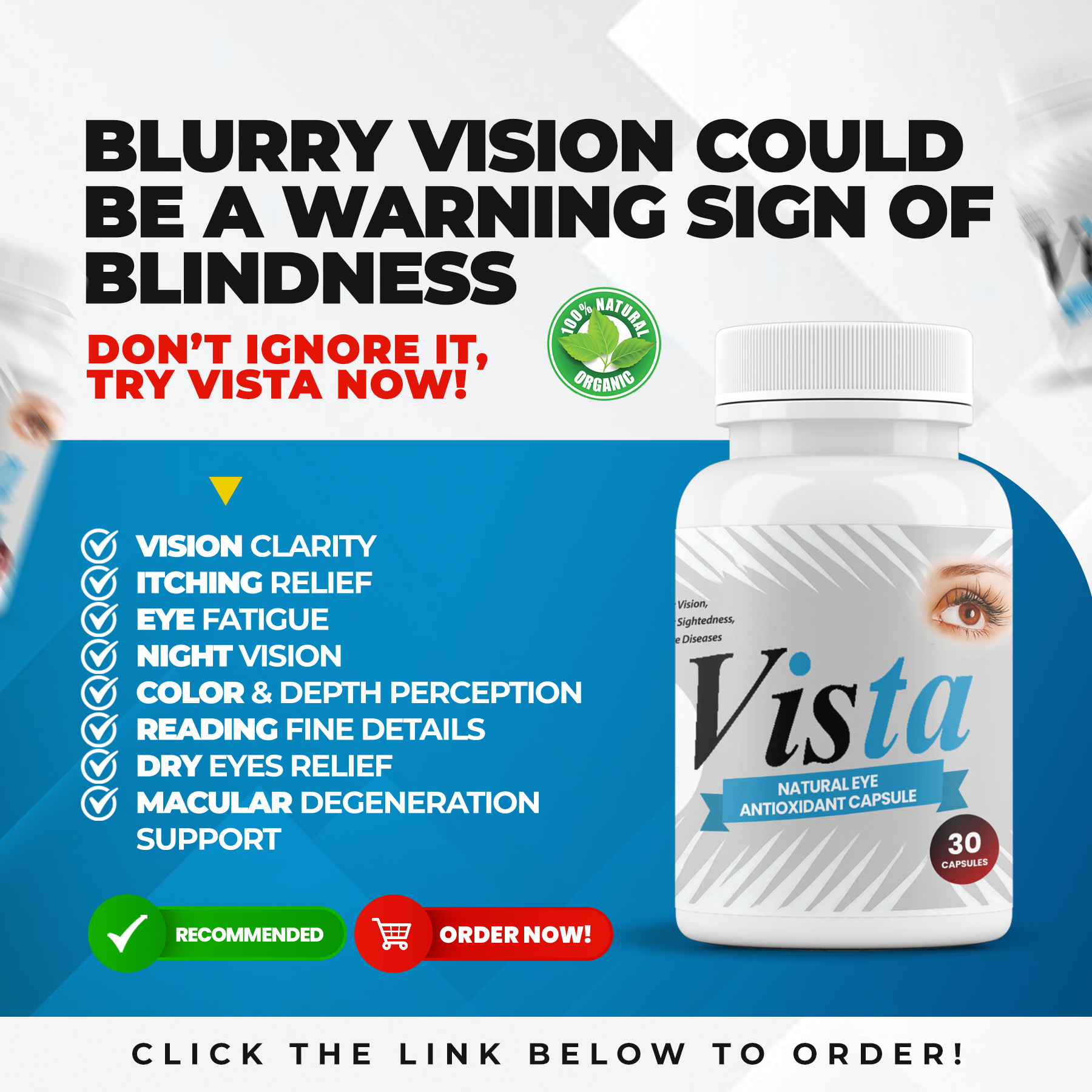 VISTA 01